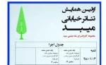 نخستین همایش تئاتر خیابانی در میبد برگزار شد 4