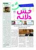 تصاویر صفحات بولتن نخستین جشنواره خش دلانه