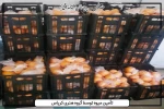 اعطای دومین بسته حمایتی هنرمندان یزدی برای مقابله با کرونا 2