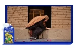 گزارش تصویری نمایش 