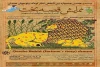 نمایش «قصه بخت» در بیست و هفتمین جشنواره بین المللی تئاتر کودک ونوجوان همدان  2