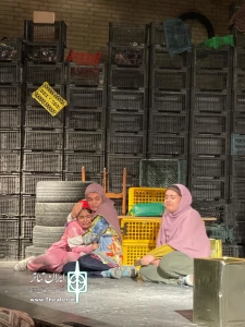 بچه های خاکستری