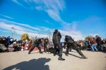 هنرمندان و عروسک‌ها، شادی را به اردکان آوردند 7