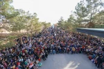 هنرمندان و عروسک‌ها، شادی را به اردکان آوردند 9